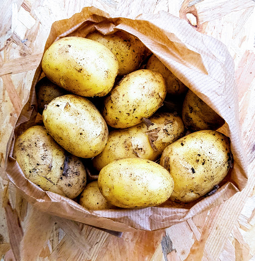 Pomme de terre - Maiwen (600 gr.)