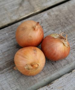 Oignons jaunes (env. 500 gr)