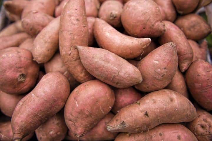 Patate douce (env. 300 - 350 gr.)
