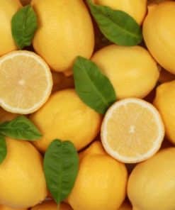 Citron Jaune Verdeli- Sicile
