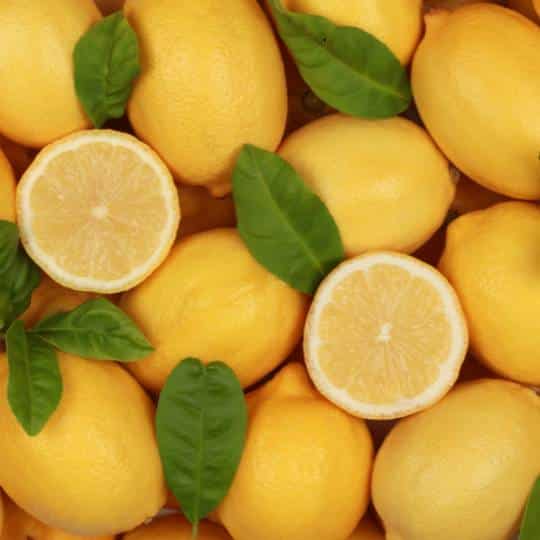 Citron Jaune Verdeli- Sicile