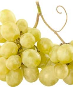 🍇 Raisin blanc Exalta - France
